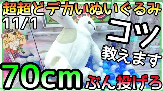 ドリンカブル BIG ぬいぐるみ YouTube Amazon.co.jp: ドリンカブル BIGぬいぐるみ YouTube かわいい