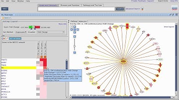 Comparison Analysis in IPA