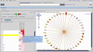 Comparison Analysis in IPA