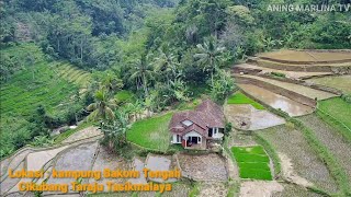 Suasana Kampung Bakom Tengah Desa Cikubang Taraju Tasikmalaya || village walking