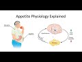 Appetite: Ghrelin and Leptin Explained