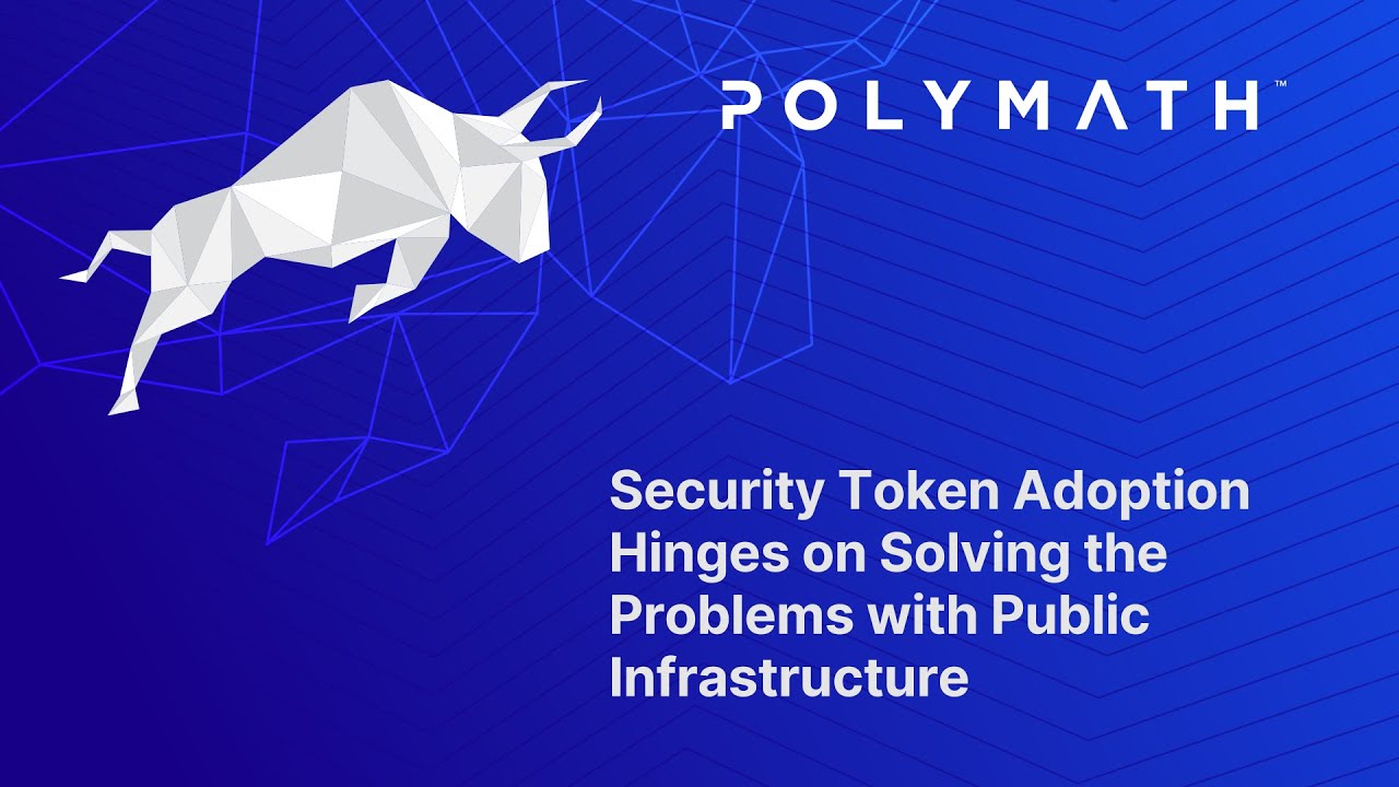 polymath network polymath network