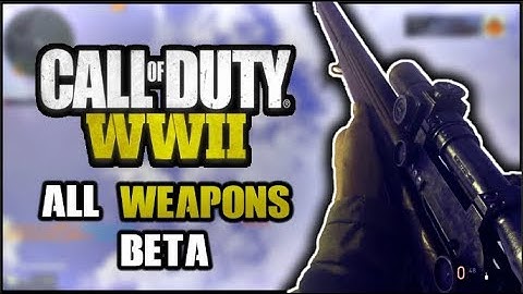 Call Of Duty WW2 (BETA) - ALL WEAPONS SHOWCASE (HD)