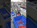 Plastic Pipe Cutting Machine