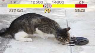 CAT FIGHTER II - "RyuCat VS Snake" screenshot 5