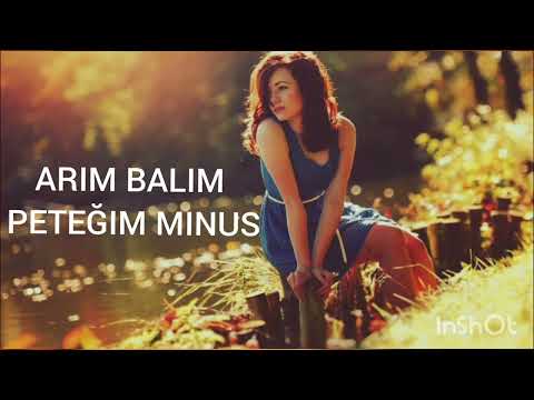 Arım Balım Peteğim Karaoke Remix 2023