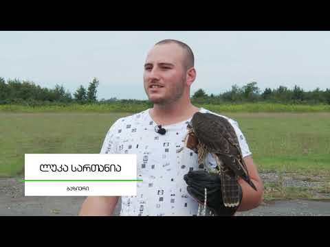 ბუნების კანონი-ბაზიერობა საქართველოში