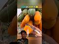 #facts #mango #farming #amazingfacts #fruit #factshorts #factvideo #shortvideo #trendingshorts