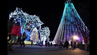 Winterfest 2017