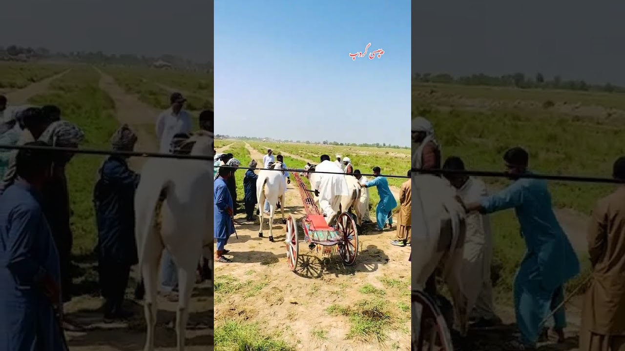 starting point accident 😔 