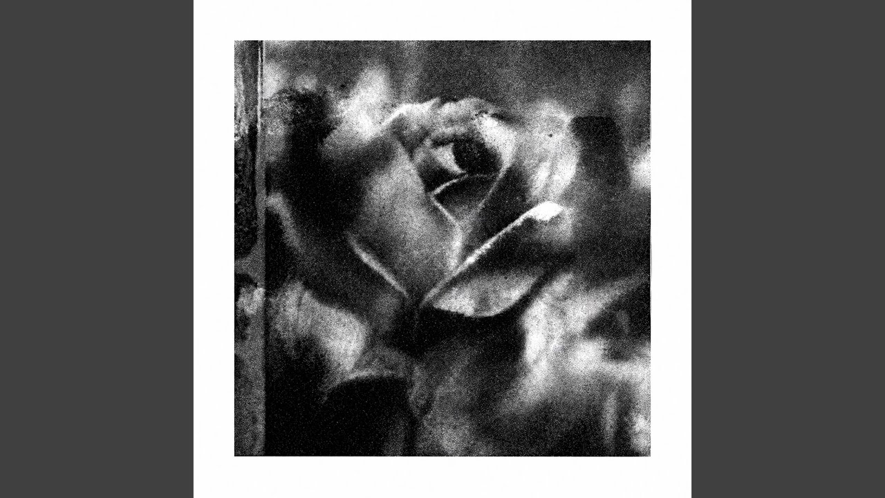 Watch Datura on YouTube Watch Datura on YouTube