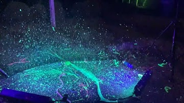 Shooting silly string cans illuminated by UV Blacklight - Slow Motion (240fps iPhone & 960fps S20)