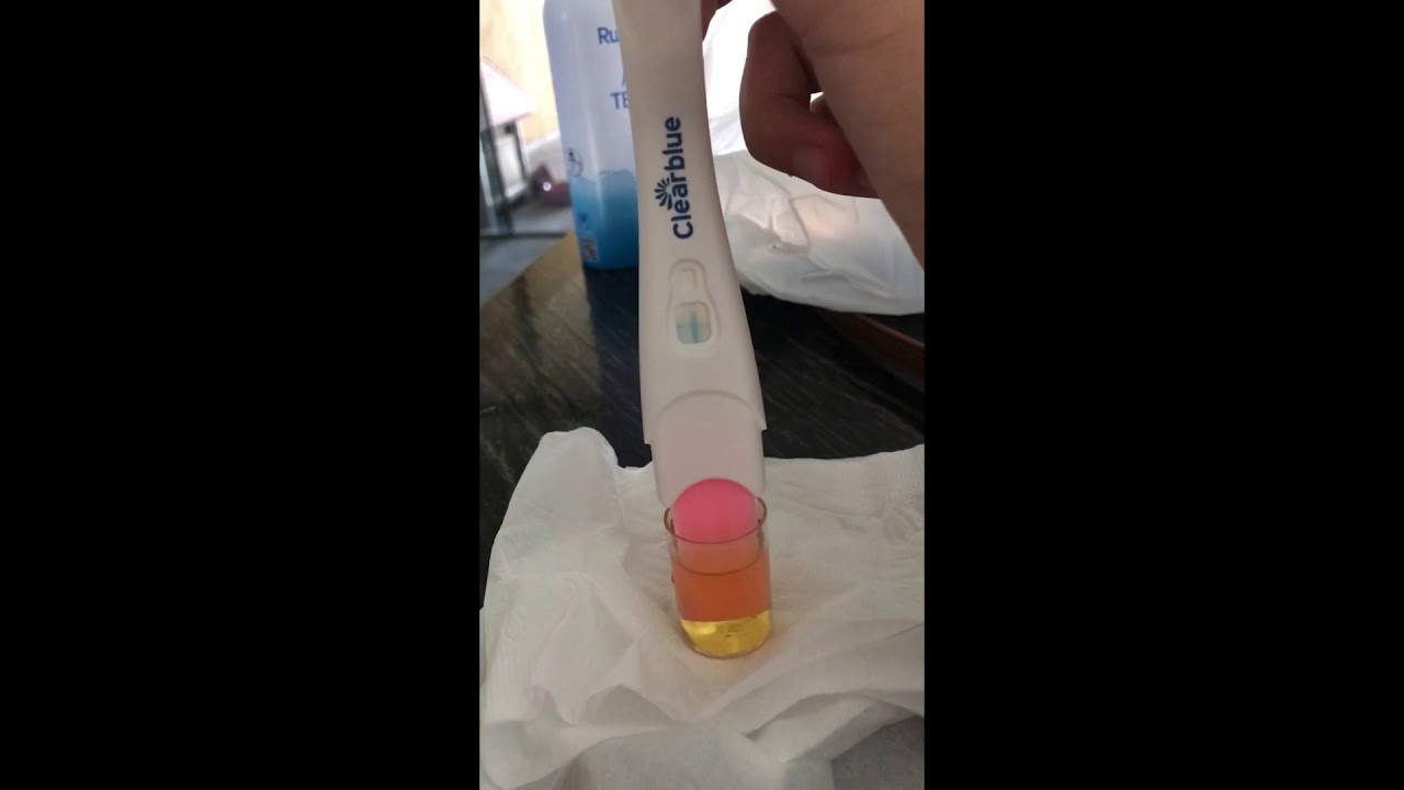 POSITIVO? Teste de gravidez ClearBlue - YouTube