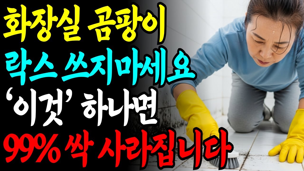 화장실 찌든 때 곰팡이 ‘이것’ 하나로 99% 싹 제거! | 안전하게 곰팡이 제거 하는 비법!  | 노후지혜 | 건강정보 | 삶의지혜 | 오디오북
