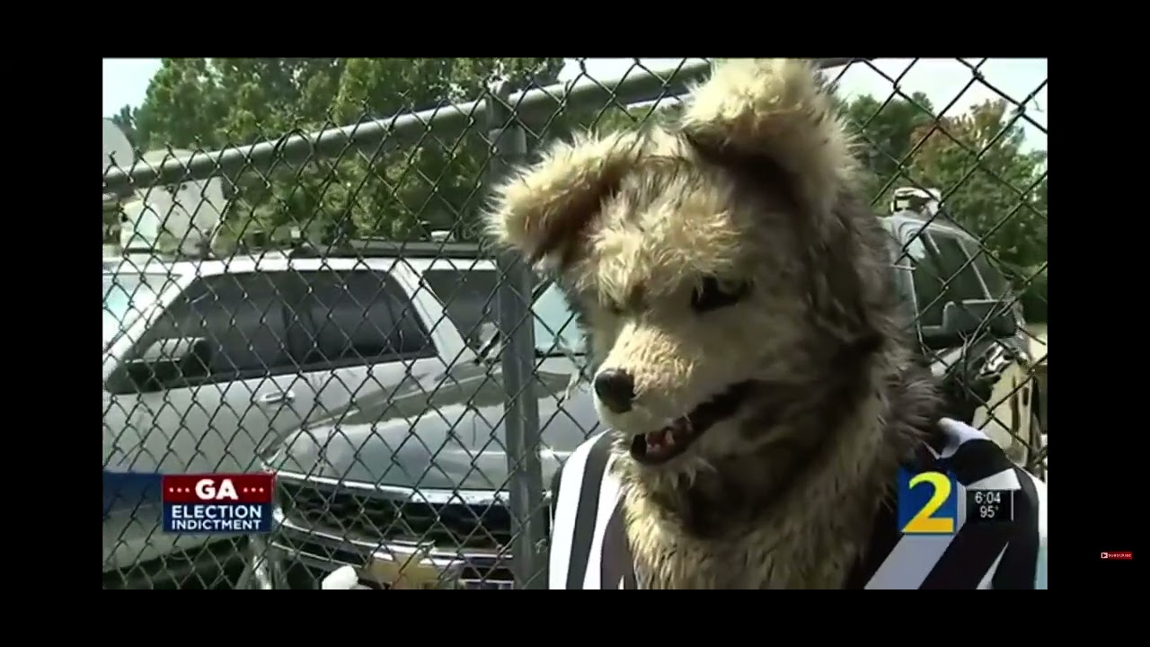 “I’m I’m a Wolf” - YouTube