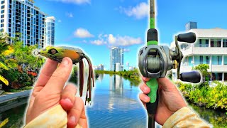 Fishing URBAN Canals For CRAZY Invasive Species (Kicked Out)