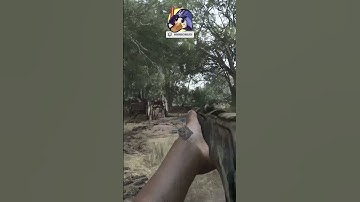 Was centi bleed broken?  #gaming #huntshowdown1896 #huntshowdown #crytek #pc #twitch #streamer