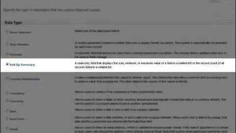 I  Data Types   Salesforce com Training   Administration