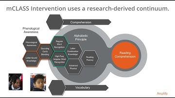 mCLASS Intervention Intro