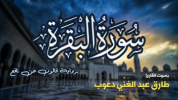 تلاوة مرتبة لسورة البقرة كاملة بصوت القارئ طارق دعوب - Surah Al-Baqara Tariq Daawob