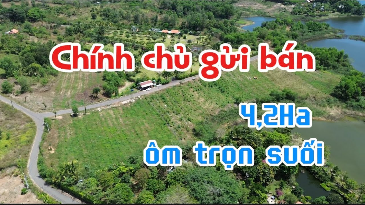 🔥 Bán 4,2ha Đất View Ôm Suối Tại Suối Rao – Flycam Toàn Cảnh Cực Đẹp | LH 0377.39.6789