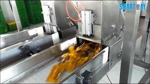 16 Head Multihead Weigher Box Filling Line for Duck Neck