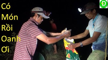 490   Cách Săn Đêm Rất Đơn Mà Hiệu Quả Cao | Đất Phương Nam