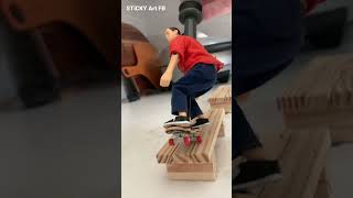 Mini Ryan Sheckler Darkslide Line Satisfying