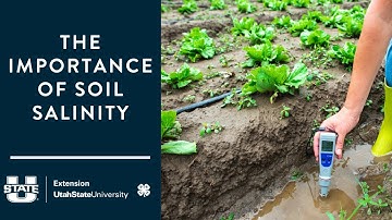 The Importance of Soil Salinity