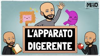 L'apparato digerente