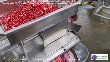 Máy vắt nước cốt lựu, khóm, dâu tầm, ổi - Điện Cơ Xanh - 0984467870 - 0342990084 - 0798302138