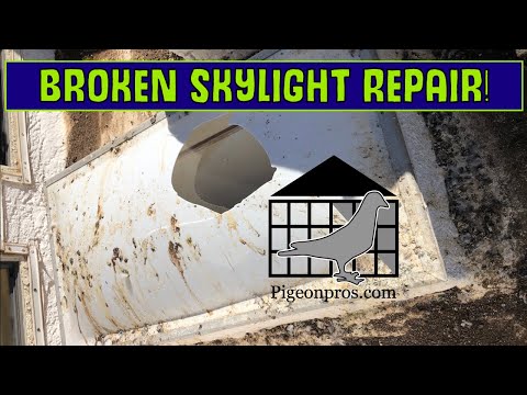 Video: Cum repari un luminator stricat?