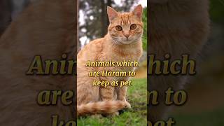 Animals which are Haram to keep as pet | Islam