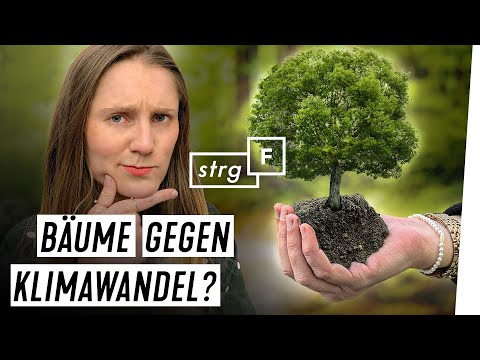 Video: Bäume Haben Ein Konzept Des Persönlichen Raums - Alternative Ansicht