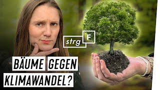 Sollen wir alle Bäume pflanzen? | STRG_F