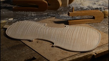 Violin back arching from start to finish