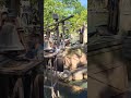 Silver Dollar City Water Ride Attack! #silverdollarcity #bransonmo #waterride