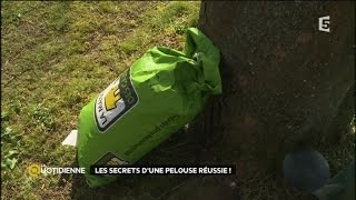 Les secrets d’une pelouse réussie