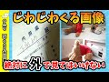 【面白画像】このじわじわくる画像で笑ったら負けwww【ゆっくり解説】