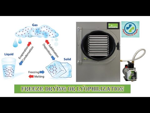 Video: Ką reiškia baltymų liofilizavimas ir kodėl tai daroma?