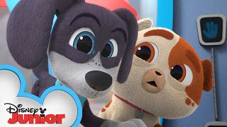 Mo Auggie Puppy Dog Pals