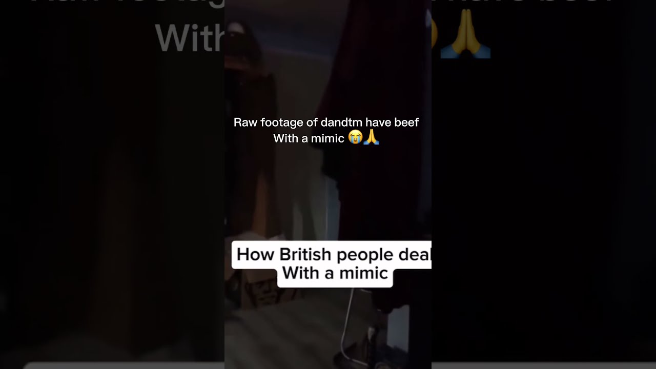 Raw Footage Of Dandtm Having Beef With A Mimic Funny Funnyshorts Fypage Fypshorts
