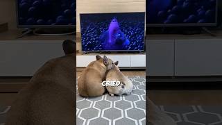 Dogs got emotional after watching the SADDEST movie scene 🥺❤️ #shorts