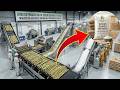 Proceso De Producción Dentro De Una Fábrica Gigante De Azúcar Que Casi Nadie Ve | fabricación