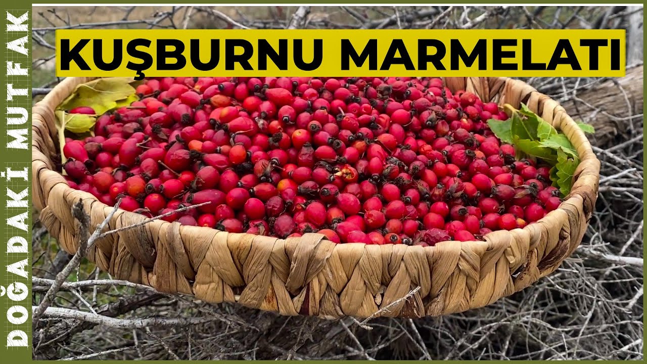 Dağ Evinde Kuşburnu Marmelatı Yaptım | Misafirlerim Var!