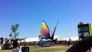 Coachella 2015 - Day 3