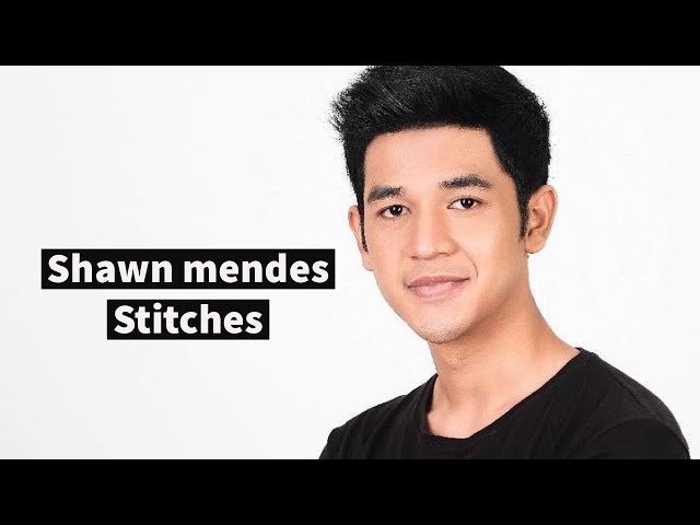 Shawn Mendes - Stitches (Music Cover) By Debo Andryos class=