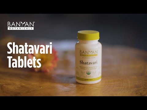 Shatavari Benefits | Asparagus racemosus | Organic Ayurvedic Herbs