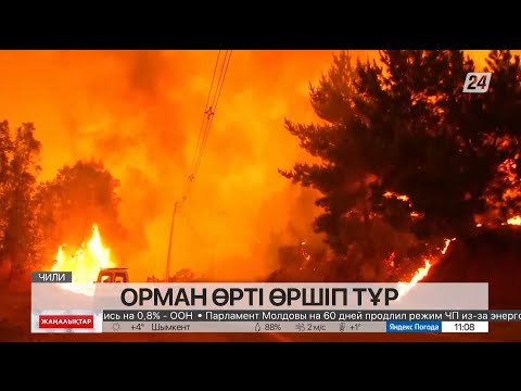 Бейне: Субарктикалық орман дегеніміз не?