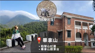 【港島行山初級路線】畢拿山行山｜柏架山紅屋。野豬出沒。畢拿 ... 